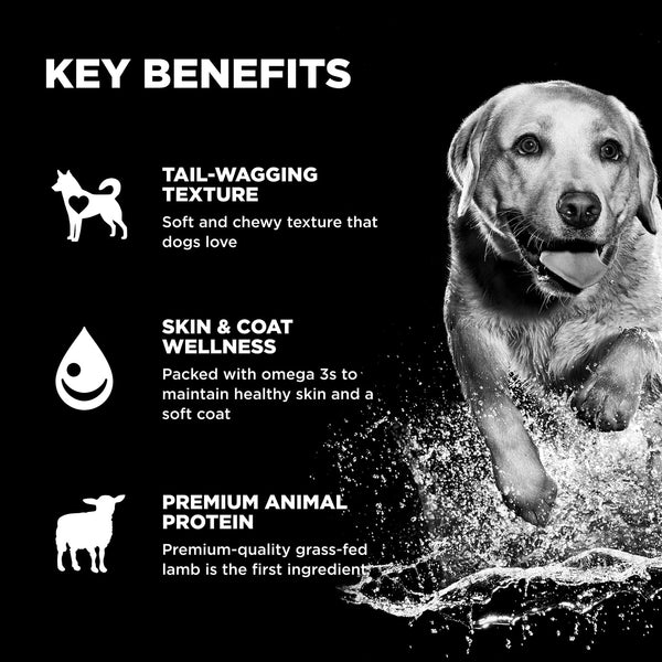 GO! Solutions Skin + Coat Care Benefit Chews Lamb Dog Treats, additional view 2
