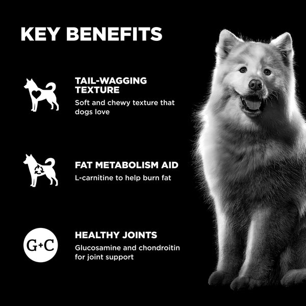 GO! Solutions Weight Management + Joint Care Benefit Chews Chicken Dog Treats (Special Order), additional view 2