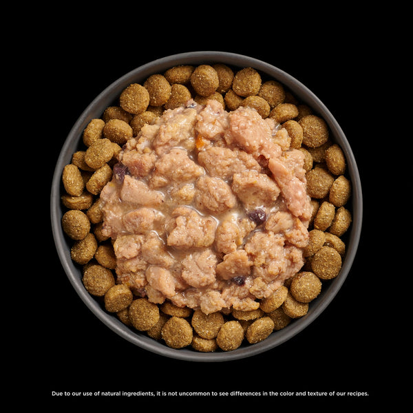 GO! Solutions Immune Health Minced Chicken with Gravy Booster Dog Food Topper, additional view 3