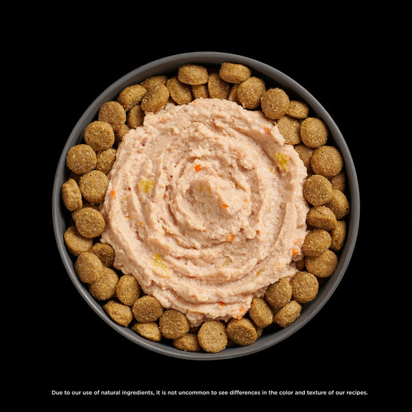 GO! Solutions Joint Care Chicken, Salmon + Duck Pate Booster Dog Food Topper, additional view 3