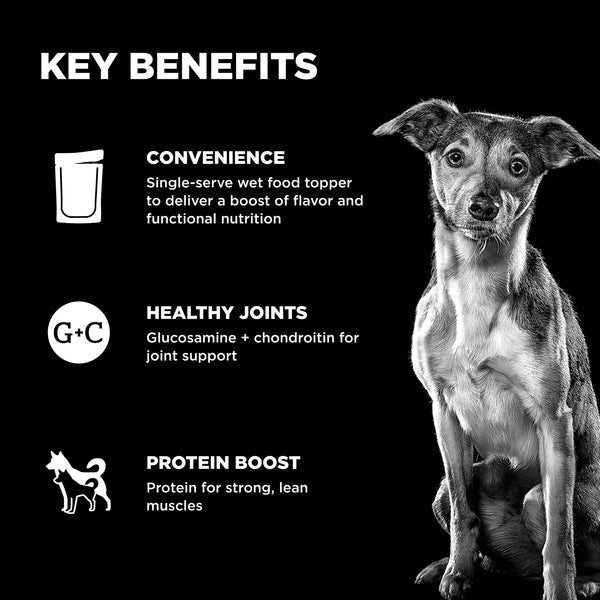 GO! Solutions Joint Care Chicken, Salmon + Duck Pate Booster Dog Food Topper, additional view 2