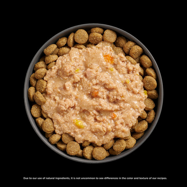GO! Solutions Tranquility Chicken, Salmon + Duck Stew Booster Dog Food Topper, additional view 3