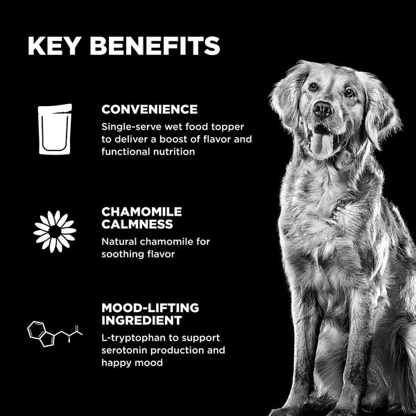 GO! Solutions Tranquility Chicken, Salmon + Duck Stew Booster Dog Food Topper, additional view 2