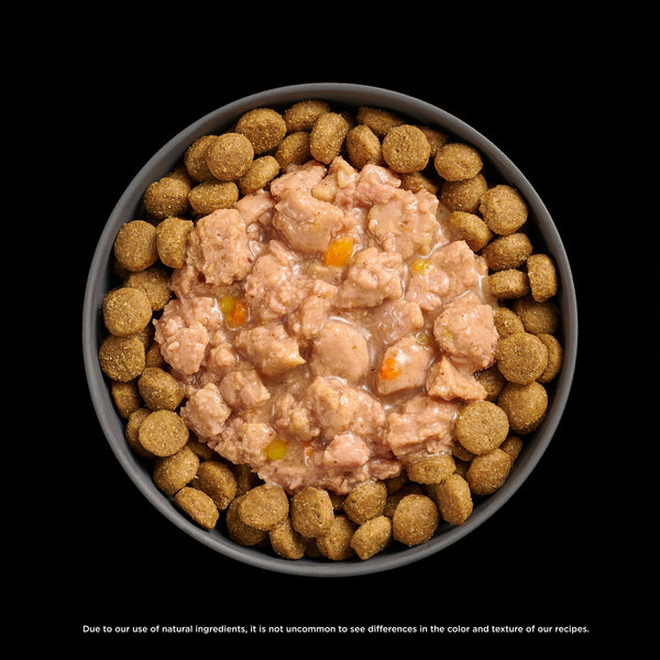 GO! Solutions Tranquility Minced Chicken with Gravy Booster Dog Food Topper, additional view 3