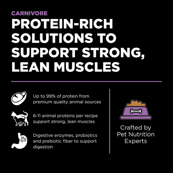 GO! Solutions Carnivore Grain-Free Chicken, Turkey + Duck Recipe Dry Cat Food (Special Order), additional view 3