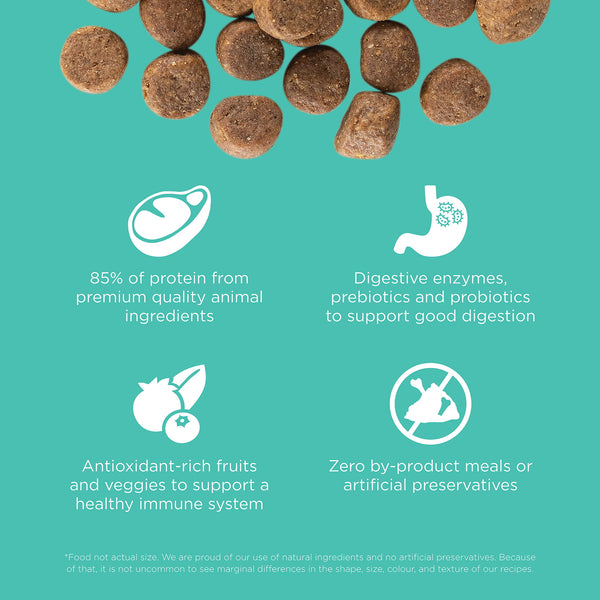 GO! Solutions Carnivore Chicken, Turkey + Duck Grain-Free Adult Dog Food, additional view 2