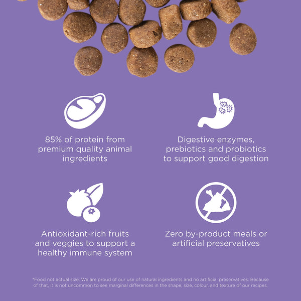 GO! Solutions Carnivore Chicken, Turkey + Duck Grain-Free Senior Dog Food (Special Order), additional view 2