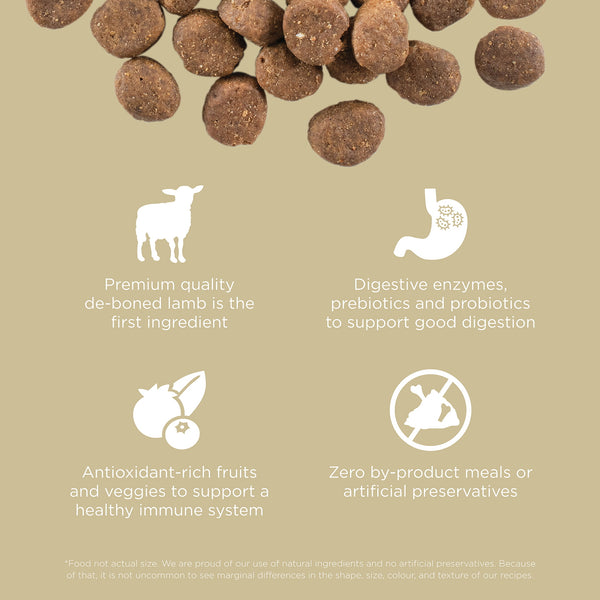 GO! Solutions Carnivore Grain-Free Lamb + Wild Boar Recipe Dry Dog Food (Special Order), additional view 2