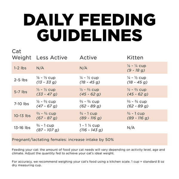 Petcurean GO! Solutions Digestion + Gut Health Salmon with Ancient Grains Dry Cat Food, additional view 3