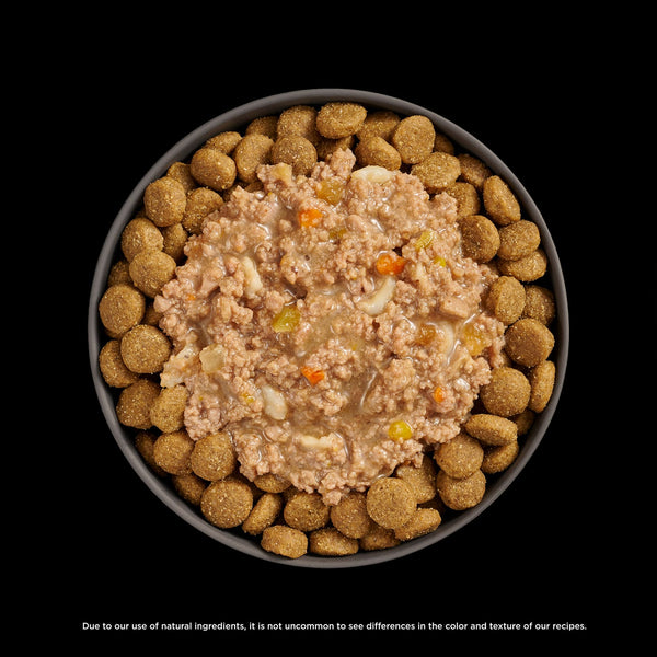 GO! Solutions Digestive Health Chicken + Lamb Stew Booster Dog Food Topper, additional view 3