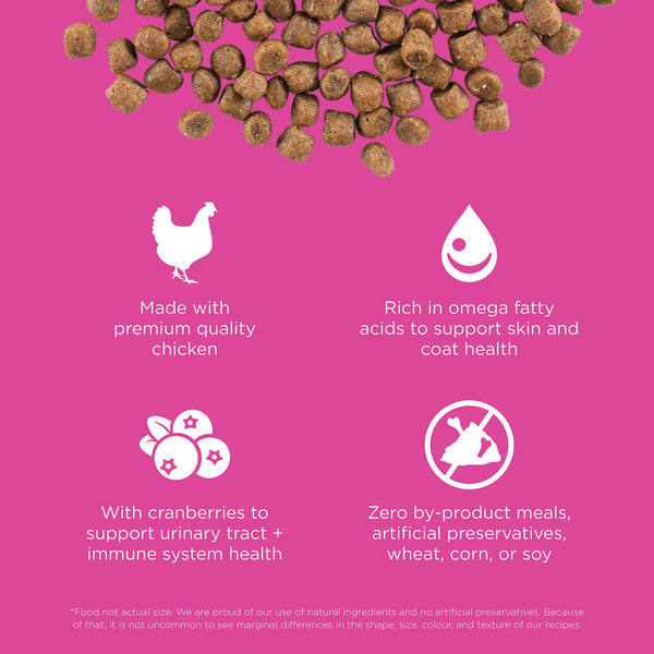 GO! Solutions Skin + Coat Care Chicken Recipe with Grains Dry Cat Food (Special Order), additional view 2