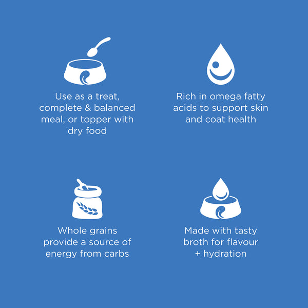GO! Solutions Skin + Coat Care Shredded Chicken Recipe with Grains Wet Dog Food, additional view 2