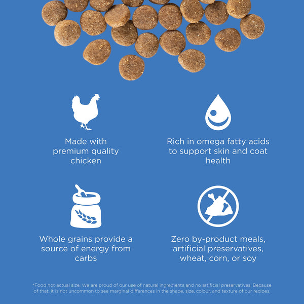 GO! Solutions Skin + Coat Care Chicken Recipe with Grains Dry Dog Food, additional view 2