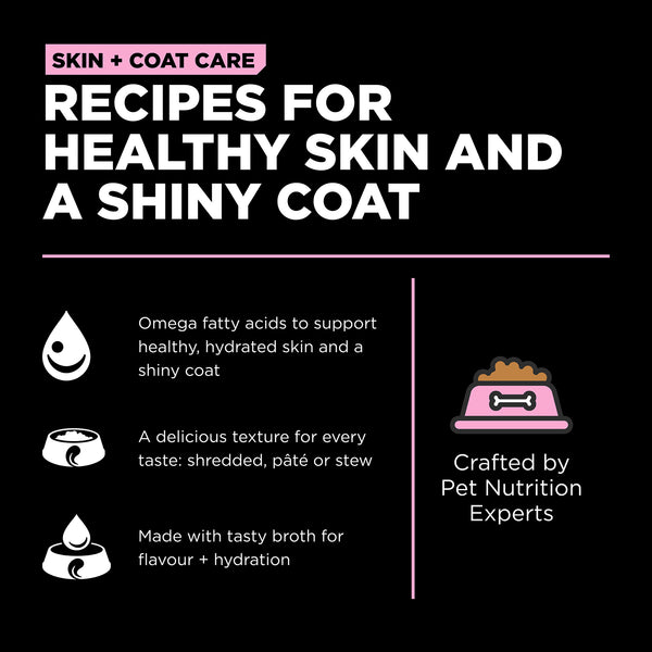 GO! Solutions Skin + Coat Care Pollock Pate with Grains Wet Dog Food, additional view 3