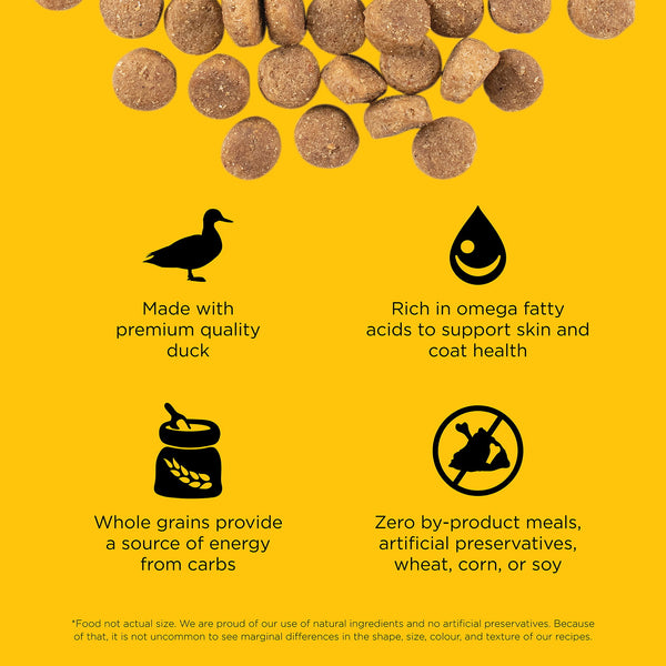 GO! Solutions Skin + Coat Care Duck Recipe with Grains Dry Dog Food, additional view 2
