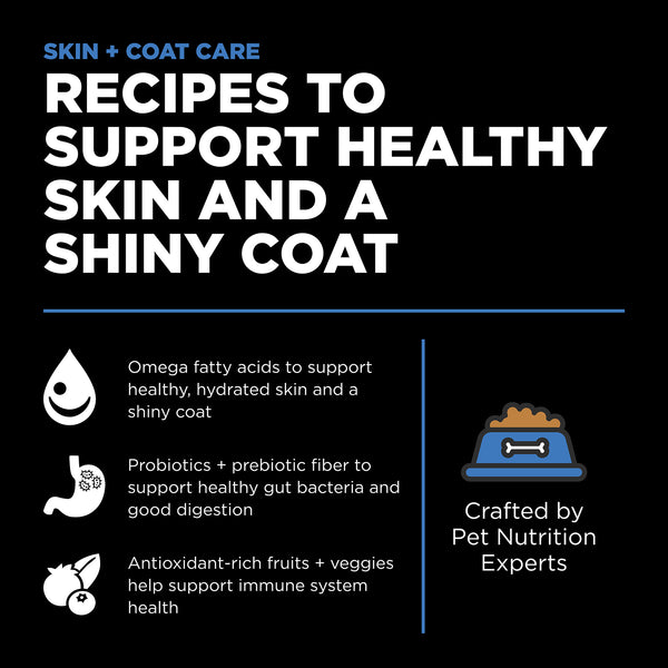 GO! Solutions Skin + Coat Care Chicken Recipe with Grains Dry Dog Food, additional view 3