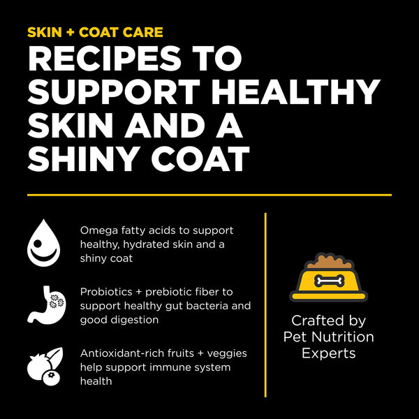 GO! Solutions Skin + Coat Care Duck Recipe with Grains Dry Dog Food, additional view 3