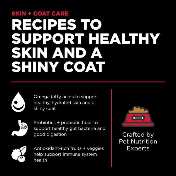 GO! Solutions Skin + Coat Care Lamb Recipe with Grains Dry Dog Food, additional view 3