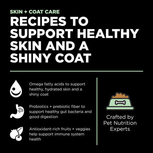 GO! Solutions Skin + Coat Care Turkey Recipe with Grains Dry Dog Food, additional view 3