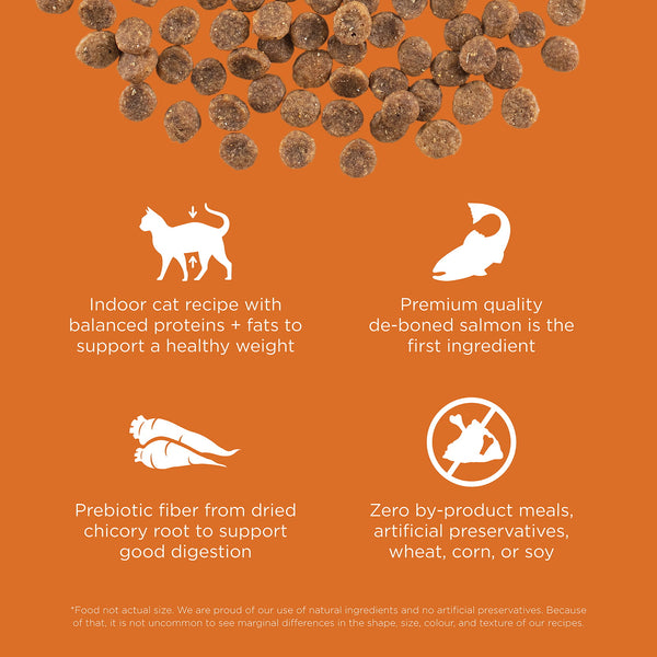 GO! Solutions Skin + Coat Care Grain-Free Salmon Recipe Dry Cat Food (Special Order), additional view 2