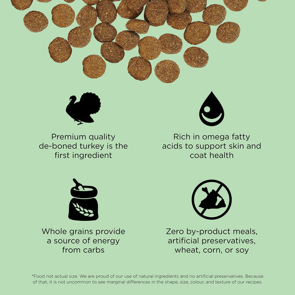GO! Solutions Skin + Coat Care Turkey Recipe with Grains Dry Dog Food, additional view 2