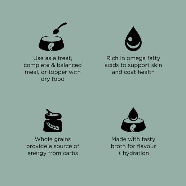 GO! Solutions Skin + Coat Care Turkey + Salmon Pate with Grains Wet Dog Food, additional view 2