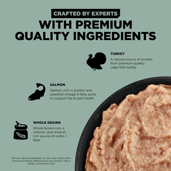 GO! Solutions Skin + Coat Care Turkey + Salmon Pate with Grains Wet Dog Food, additional view 3