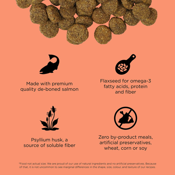 Petcurean GO! Solutions Weight Management + Joint Care Grain Free Salmon Dry Dog Food, additional view 2