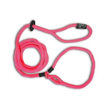 Harness Lead Escape-Resistant Dog Harness and Leash
