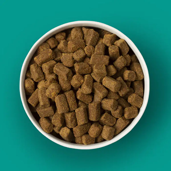 NexTrition Lamb Recipe Premium Cold Pressed Dog Food