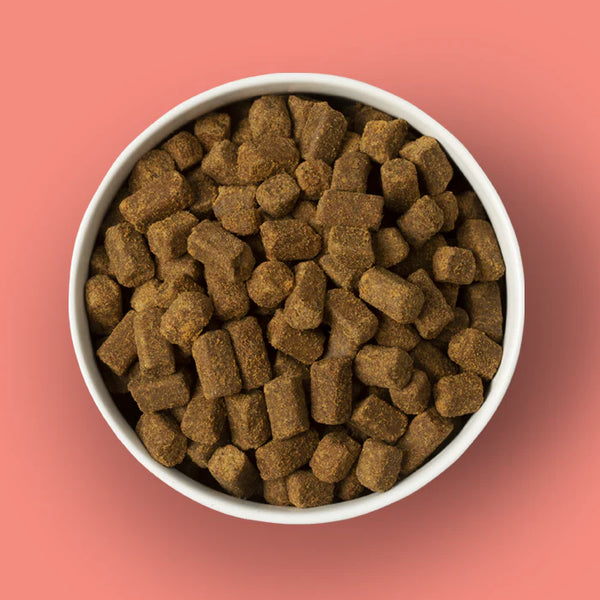 NexTrition Salmon Recipe Premium Cold Pressed Dog Food