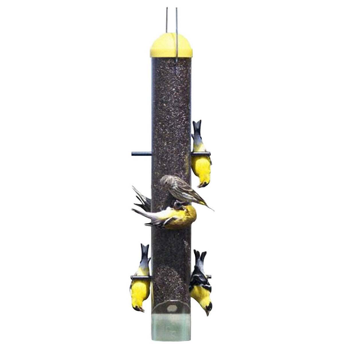 Perky Pet Upside Down Thistle Bird Feeder