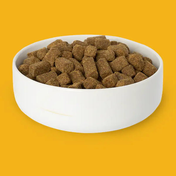 NexTrition Chicken Recipe Premium Cold Pressed Dog Food