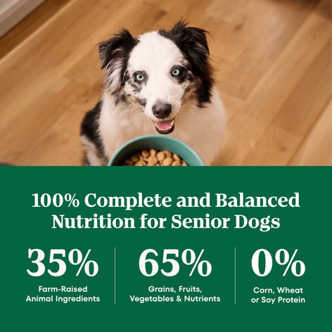 Nutro Natural Choice Large Breed Senior Chicken & Brown Rice Dry Dog Food, additional view 3