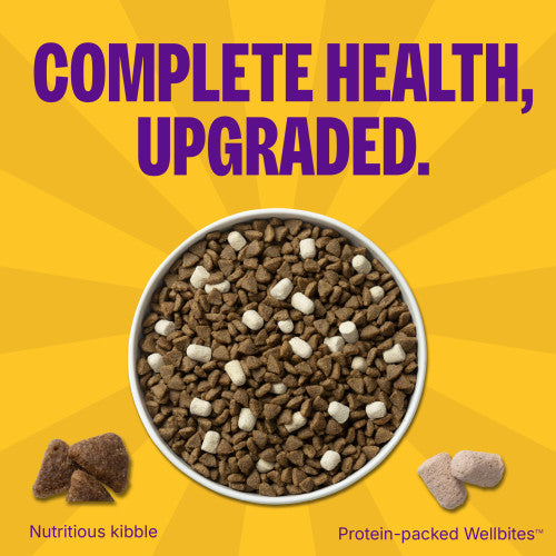 Wellness Complete Health+ Small Breed Turkey & Oatmeal Dry Dog Food, additional view 2