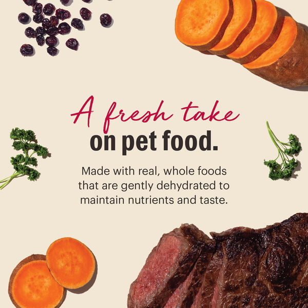 The Honest Kitchen Wholemade Grain Free Beef Dog Food, additional view 2