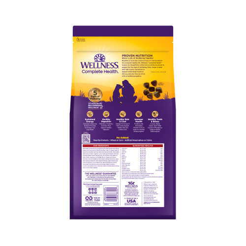 Wellness Complete Health Adult Deboned Beef & Barley Dry Dog Food, additional view 1