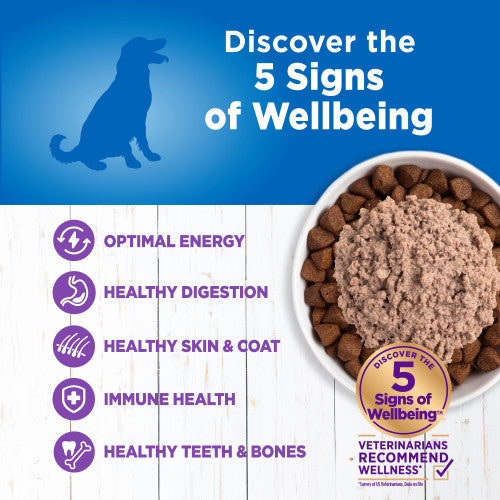 Wellness Simple Natural Limited Ingredient Diet Turkey and Potato Recipe Wet Canned Dog Food