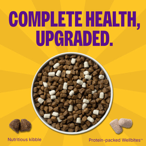 Wellness Complete Health+ Whitefish & Sweet Potato Dry Dog Food, additional view 2