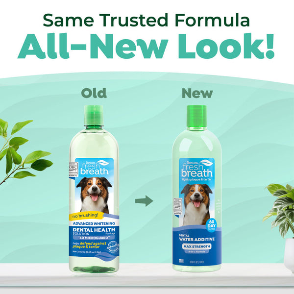 TropiClean Fresh Breath Max Strength Dental Water Additive for Dogs, additional view 3