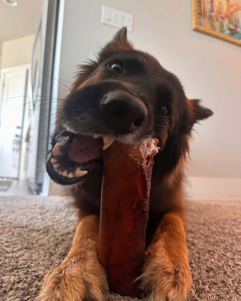 Mika & Sammy's Smoked Beef Marrow Bone Dog Chew, additional view 4