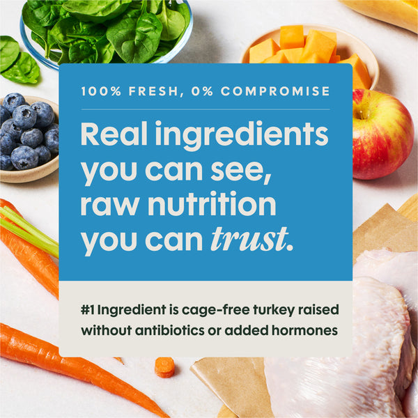 Instinct FreshRaw Meals Cage-Free Turkey Recipe Dog Food