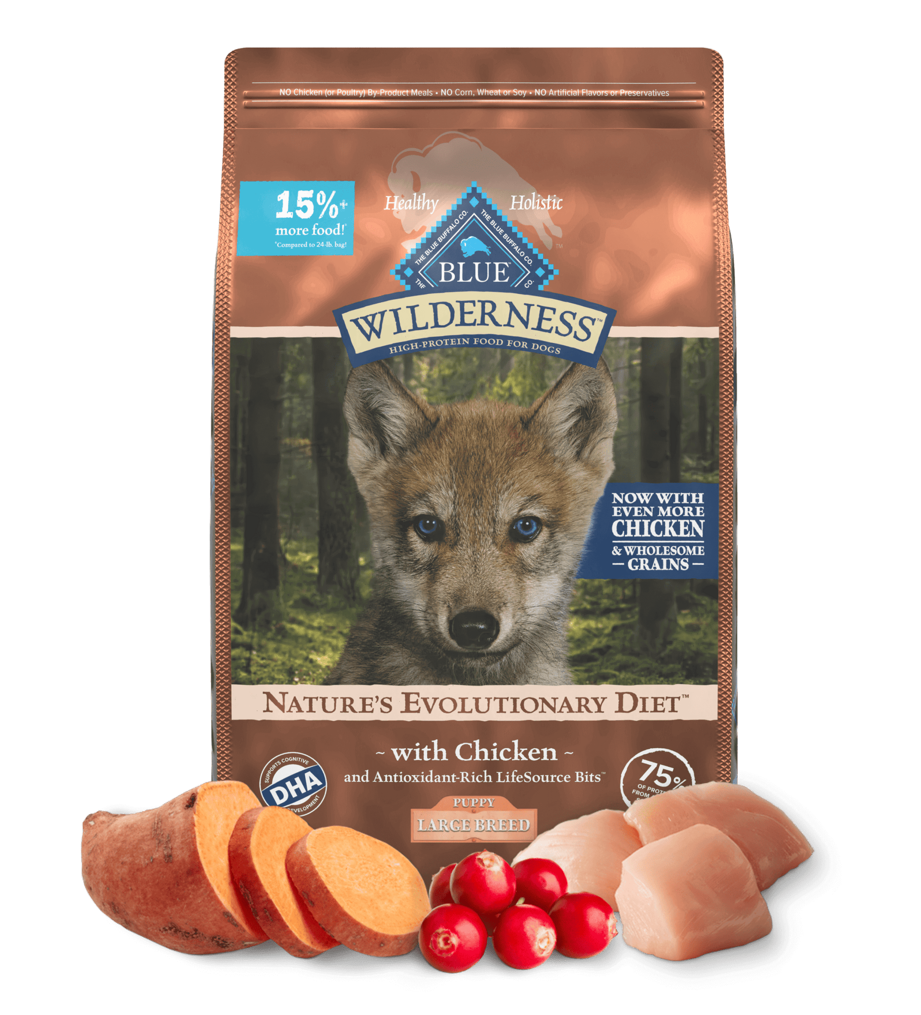 Grain free high protein puppy food best sale