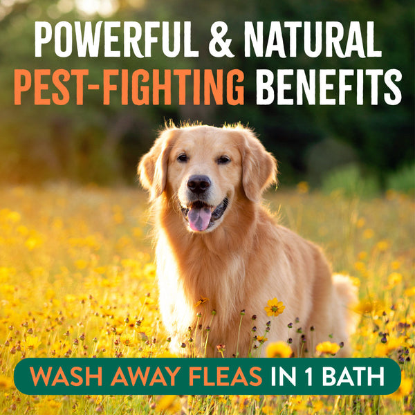 TropiClean Natural Flea + Tick Maximum Strength Shampoo for Dogs, 20 oz, additional view 3