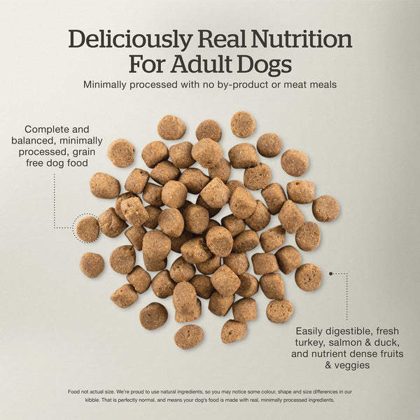 Petcurean Now Fresh Grain Free Adult Turkey, Salmon & Duck Dry Dog Food, additional view 1