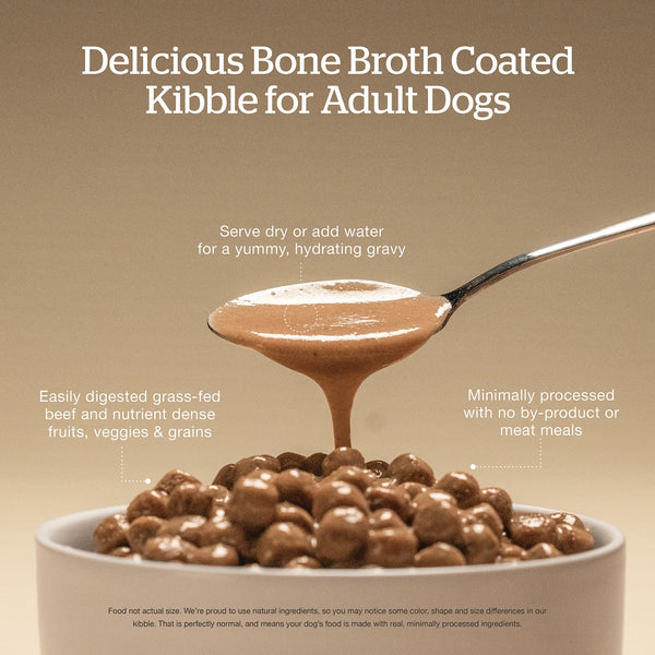 Now Fresh Good Gravy Beef with Grains Dry Dog Food (Special Order), additional view 2