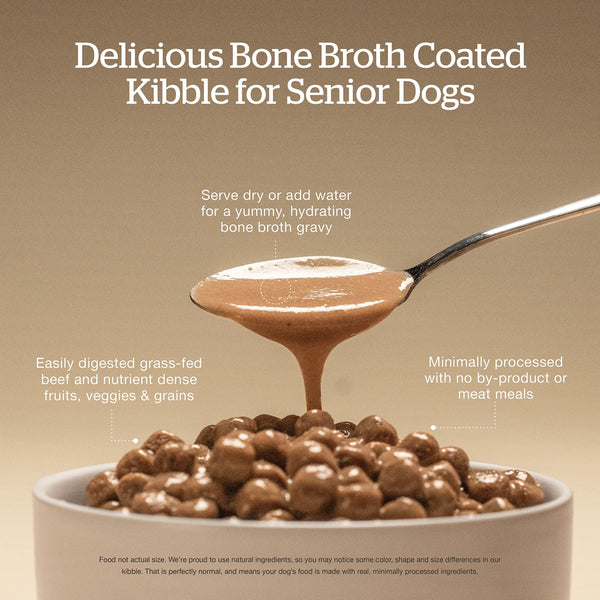 Now Fresh Good Gravy Senior Beef with Grains Dry Dog Food (Special Order), additional view 2