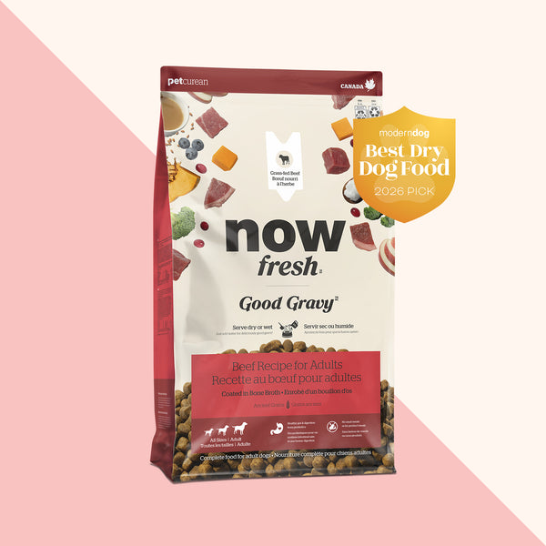 Now Fresh Good Gravy Beef with Grains Dry Dog Food (Special Order)