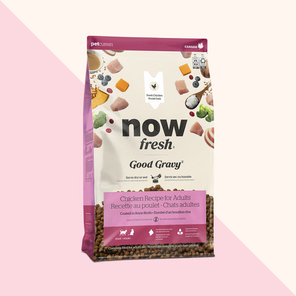Petcurean Now Fresh Good Gravy Grain Free Chicken Dry Cat Food