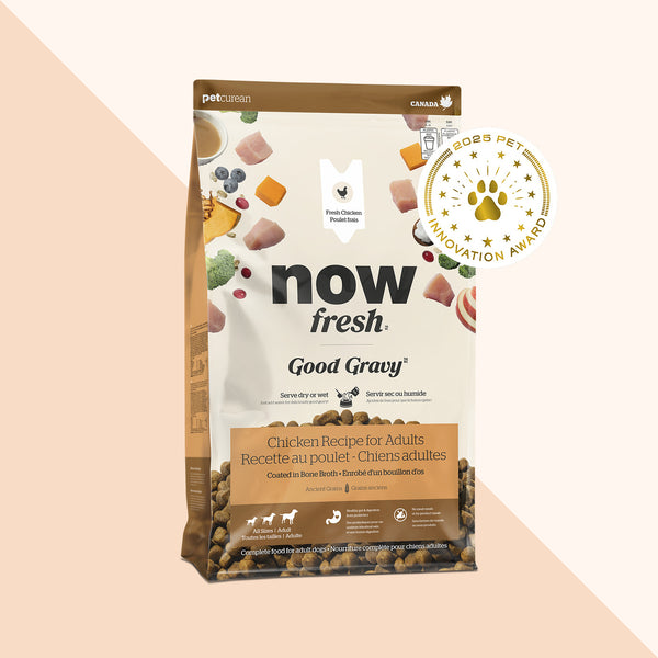 Now Fresh Good Gravy Chicken with Grains Dry Dog Food (Special Order)